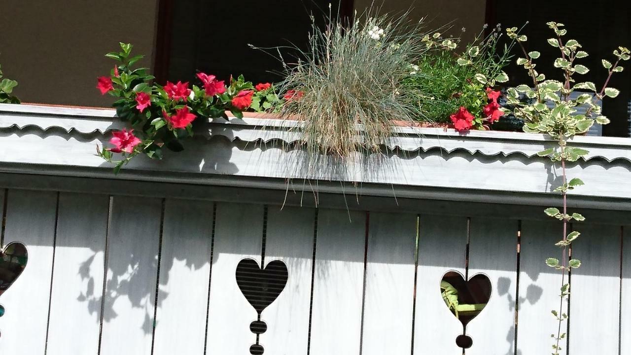 Apartmaji Marinka Hodnik Bohinj Exteriér fotografie