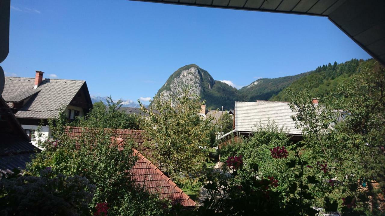 Apartmaji Marinka Hodnik Bohinj Exteriér fotografie